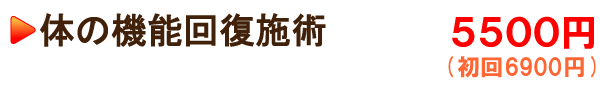 体の機能回復施術