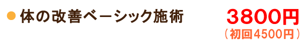 体の改善ベ－シック施術